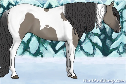 Horse Color:Smoky Grullo Tobiano 