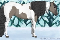 Horse Color:Smoky Grullo Tobiano 