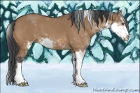 Horse Color:Bay Dun Sabino