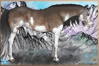 Horse Color:Bay Splash 