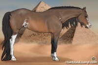 Horse Color:Buckskin Roan Sabino