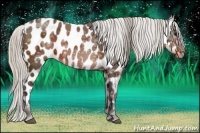 Horse Color:Silver Brown Ice Appaloosa 