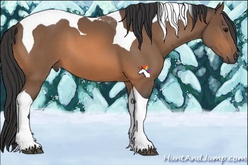 Horse Color:Buckskin Tobiano 