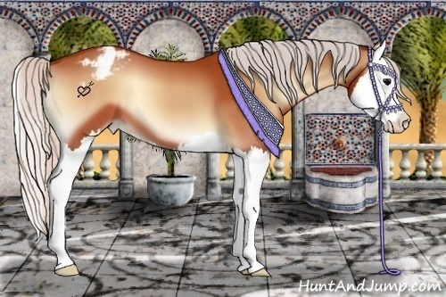 Horse Color:Silver Brown Onyx Sabino Splash Appaloosa 