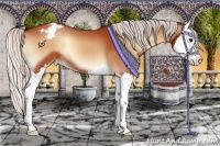 Horse Color:Silver Brown Onyx Sabino Splash Appaloosa
