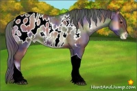Horse Color:Nacre Blue Onyx Tobiano Appaloosa Rabicano