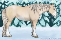 Horse Color:Palomino Pearl Sabino