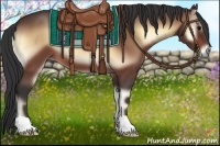 Horse Color:Bay Onyx 