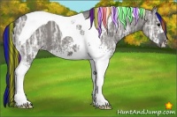 Horse Color:Painted White Spotted Grullo Ice Tobiano