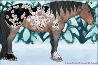 Horse Color:Brown Ice Roan Appaloosa 