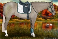 Horse Color:Silver Grullo Roan Rabicano