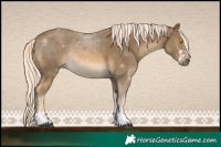 Horse Color:Chocolate Palomino Mushroom Sabino Tobiano Rabicano