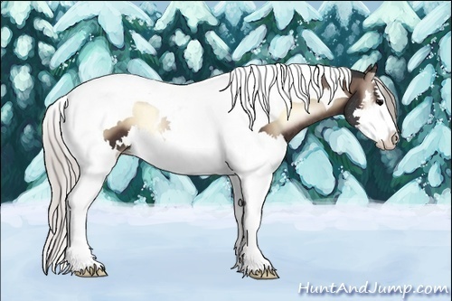 Horse Color:Silver Brown Onyx Splash Tobiano Rabicano