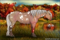 Horse Color:White Spotted Silver Bay Dun