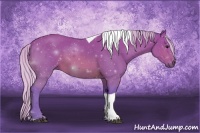 Horse Color:Watercolor Silver Buckskin Tobiano 