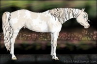 Horse Color:White Spotted Smoky Creme Dun