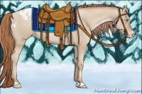 Horse Color:Smoky Blue Roan Pearl Appaloosa 