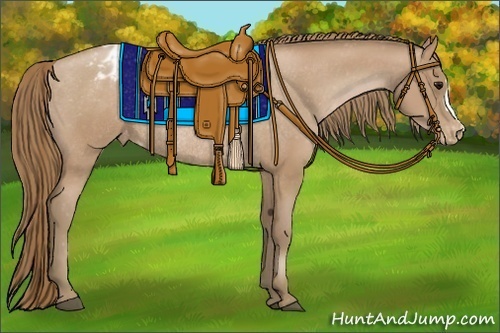 Horse Color:Black Pearl Appaloosa Rabicano 