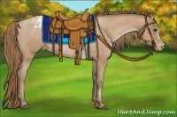 Horse Color:Black Pearl Appaloosa Rabicano 