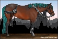 Horse Color:Painted Bay 