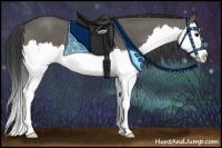 Horse Color:Grullo Sabino Splash