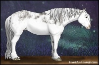 Horse Color:Smoky Grullo Sabino Splash