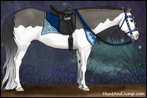 Horse Color:Grullo Splash 