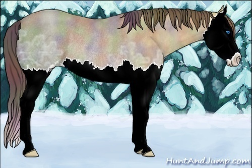 Horse Color:Nacre Classic Champagne Ice Roan Sabino Splash Rabicano 