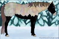 Horse Color:Nacre Classic Champagne Ice Roan Sabino Splash Rabicano 