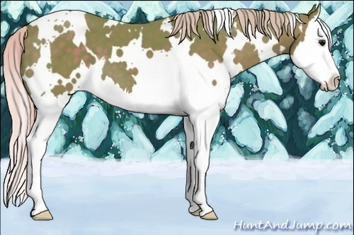 Horse Color:Watercolor White Spotted Silver Black Splash 