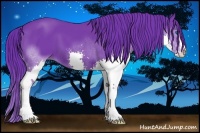 Horse Color:Watercolor Black Splash