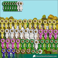 Horse Color:Black Pearl Tobiano Rabicano