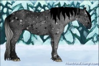 Horse Color:ERROR: UNKNOWN ANOMALY