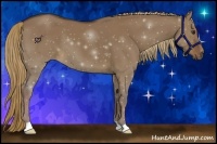 Horse Color:Liver Red Dun