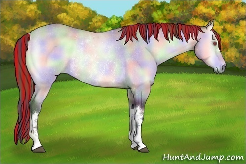 Horse Color:Painted Nacre Bay Chinchilla Onyx Rabicano