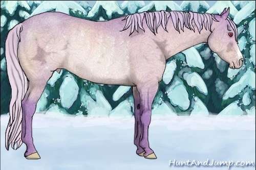 Horse Color:Watercolor Silver Sable Champagne Chinchilla Ice Rabicano