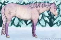 Horse Color:Watercolor Silver Sable Champagne Chinchilla Ice Rabicano