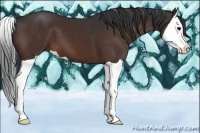 Horse Color:Brown Splash