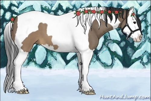 Horse Color:Brown Roan Dun Splash Tobiano 