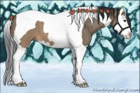 Horse Color:Brown Roan Dun Splash Tobiano 