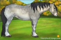 Horse Color:Brown Ice Roan Onyx
