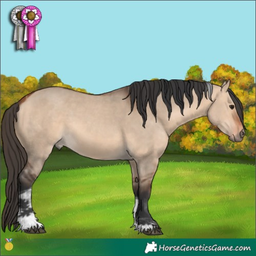 Horse Color:Bay Dun Tobiano 