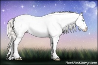Horse Color:Silver Smoky Grullo Roan Pearl Splash Tobiano Appaloosa 