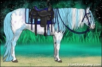 Horse Color:Watercolor White Spotted Buckskin Ice Onyx