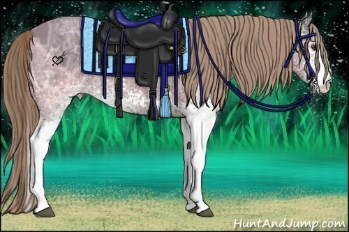 Horse Color:White Spotted Liver Chestnut Ice 