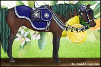 Horse Color:Painted Brown 