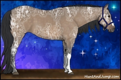 Horse Color:Brown Ice Dun 