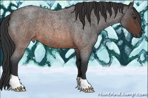 Horse Color:Brown Roan 