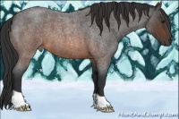 Horse Color:Brown Roan 