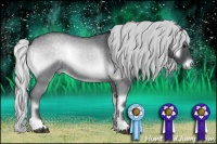 Horse Color:Silver Blue Onyx Chinchilla Roan 